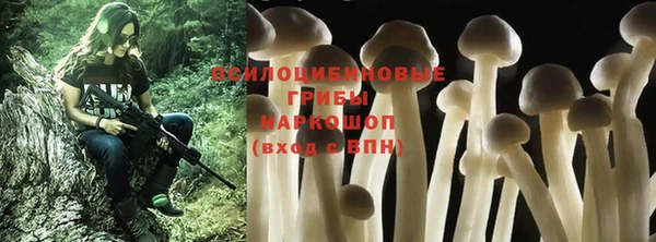 стаф Баксан