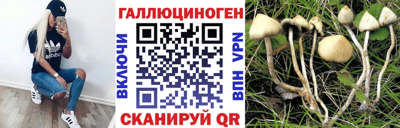 Галлюциногенные грибы Cubensis Шарыпово